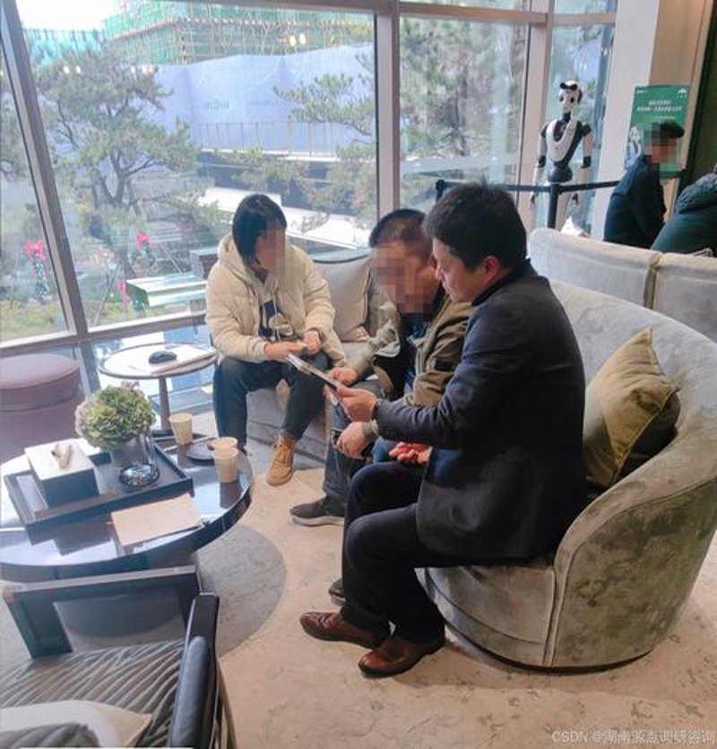 市场调研咨询行业的动态与发展